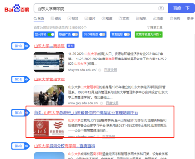 山东大学管理学院SEO优化案例