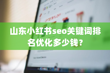山东小红书seo关键词排名优化多少钱?