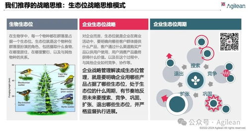 科技团队治理能力成长路线图