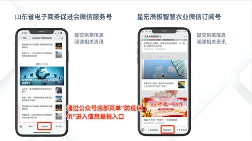 产销对接周报丨山东生鲜农产品产销对接平台 第三周工作汇总