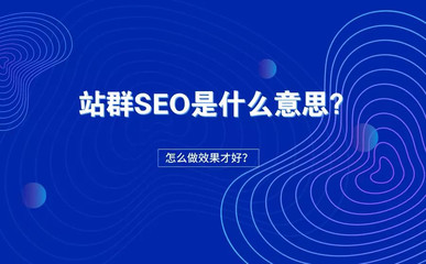 站群云分站SEO优化_站群云分站多IP服务器