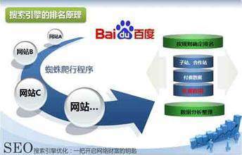 山东聊城SEO优化现状与排名竞争力分析